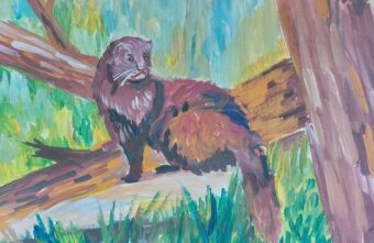 В Верхневолжье назвали победителей ежегодного конкурса «Красная книга Тверской области глазами детей» В Верхневолжье назвали победителей ежегодного конкурса «Красная книга Тверской области глазами детей»