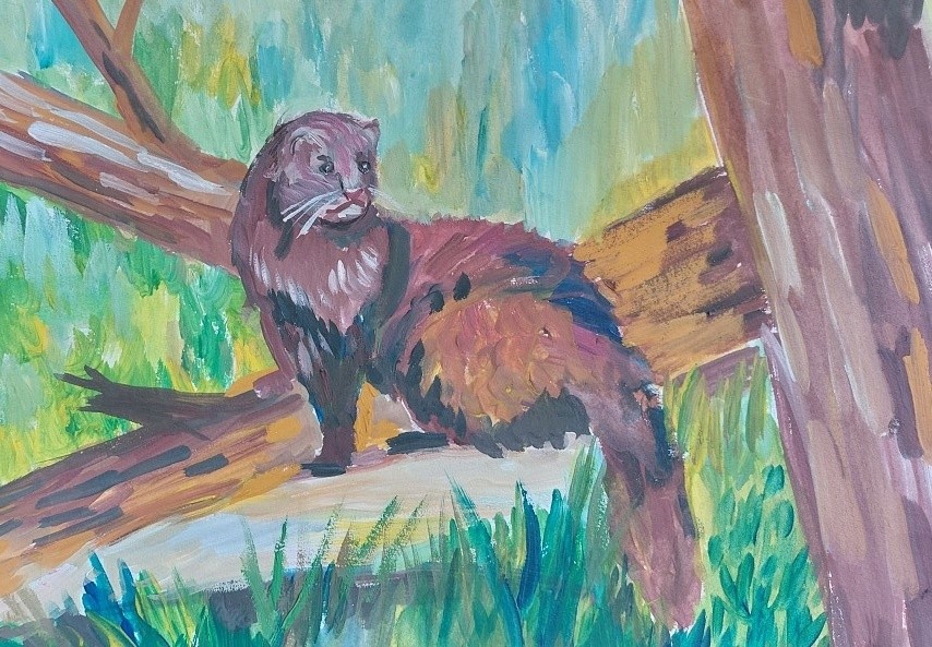 В Верхневолжье назвали победителей ежегодного конкурса «Красная книга Тверской области глазами детей»