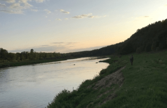 Лоси соревнуются в плавании в Тверской области Лоси соревнуются в плавании в Тверской области