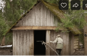 Медвежата в Тверской области находят фотоловушки и выбрасывают в болото Медвежата в Тверской области находят фотоловушки и выбрасывают в болото