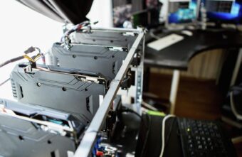 В Тверской области разбойники напали на необычную ферму В Тверской области разбойники напали на необычную ферму