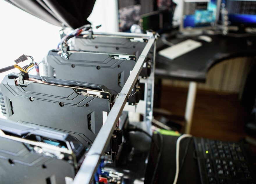 В Тверской области разбойники напали на необычную ферму