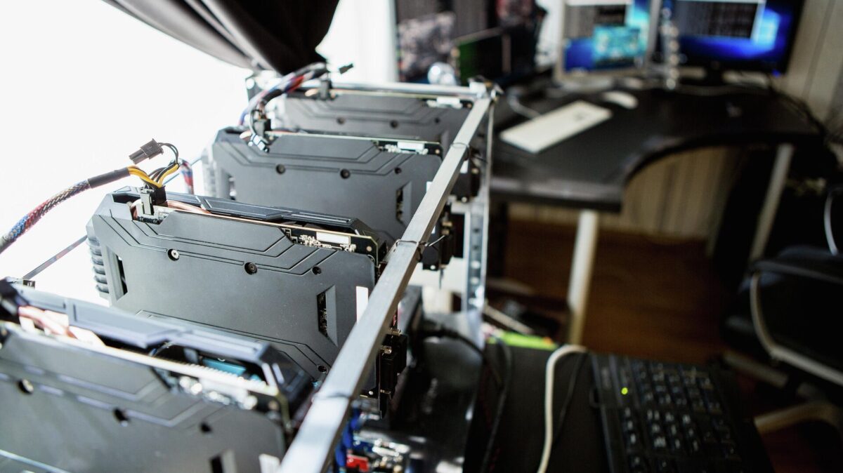 В Тверской области разбойники напали на необычную ферму