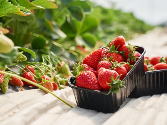 Эндокринолог рассказала, как есть ягоды без вреда для талии