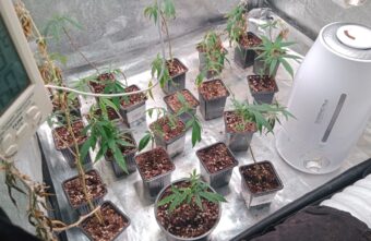 Посылка с гашишным маслом привела таможенников к нарколаборатории в Твери Посылка с гашишным маслом привела таможенников к нарколаборатории в Твери