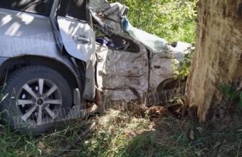 В Тверской области машина врезалась в дерево: двое погибли В Тверской области машина врезалась в дерево: двое погибли