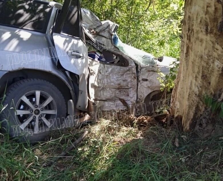 В Тверской области машина врезалась в дерево: двое погибли В Тверской области машина врезалась в дерево: двое погибли