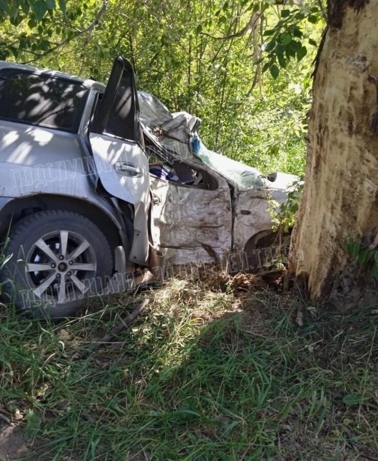 В Тверской области машина врезалась в дерево: двое погибли