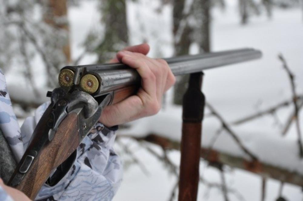 В Тверской области задержали браконьера, застрелившего лося