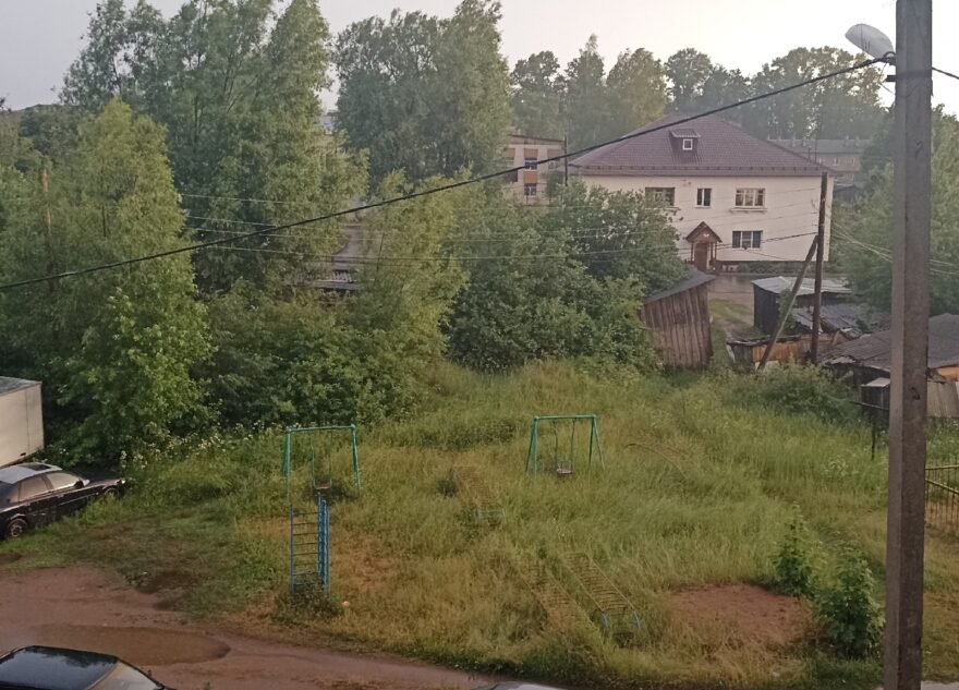 Город Тверской области атакуют змеи, но их не видно