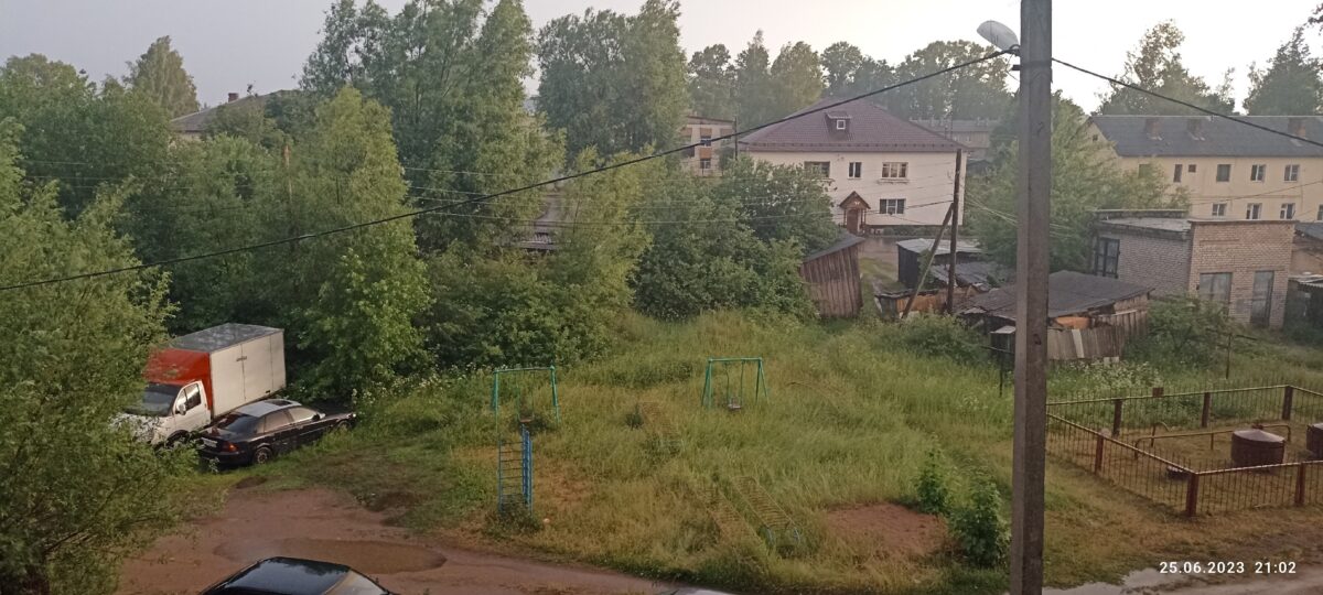 Город Тверской области атакуют змеи, но их не видно