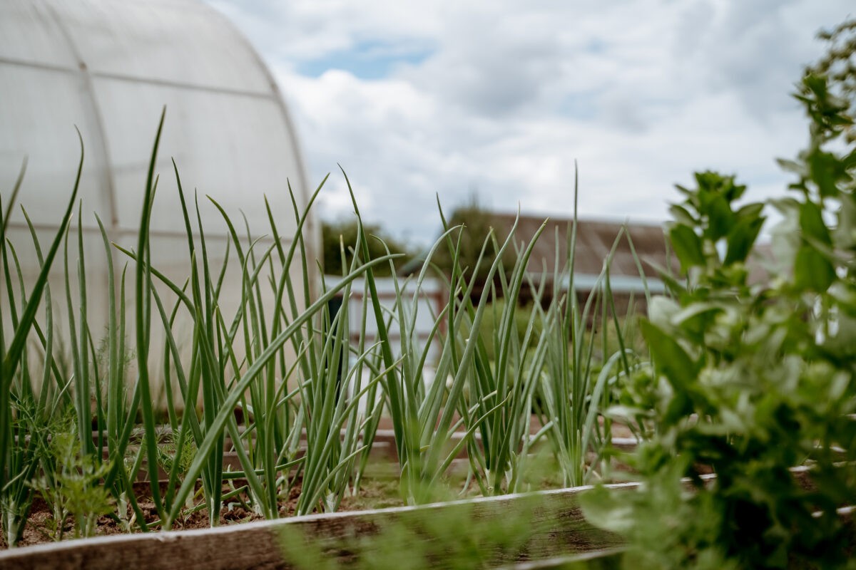 Дачникам рассказали об опасностях, которые поджидают их на участках