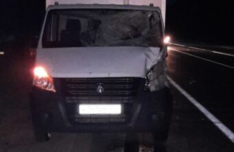 Водителя, наехавшего на лося в Тверской области, увезли в больницу