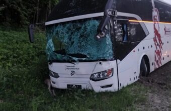 В Тверской области лось стал причиной ДТП В Тверской области лось стал причиной ДТП