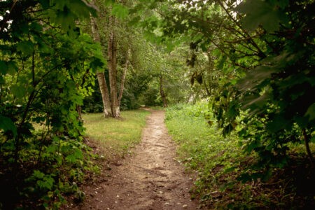 В Тверской области сняли все ограничения на посещение лесов В Тверской области сняли все ограничения на посещение лесов