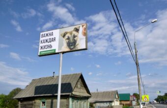 В Твери появились рекламные баннеры в поддержку гуманного отношения к животным
