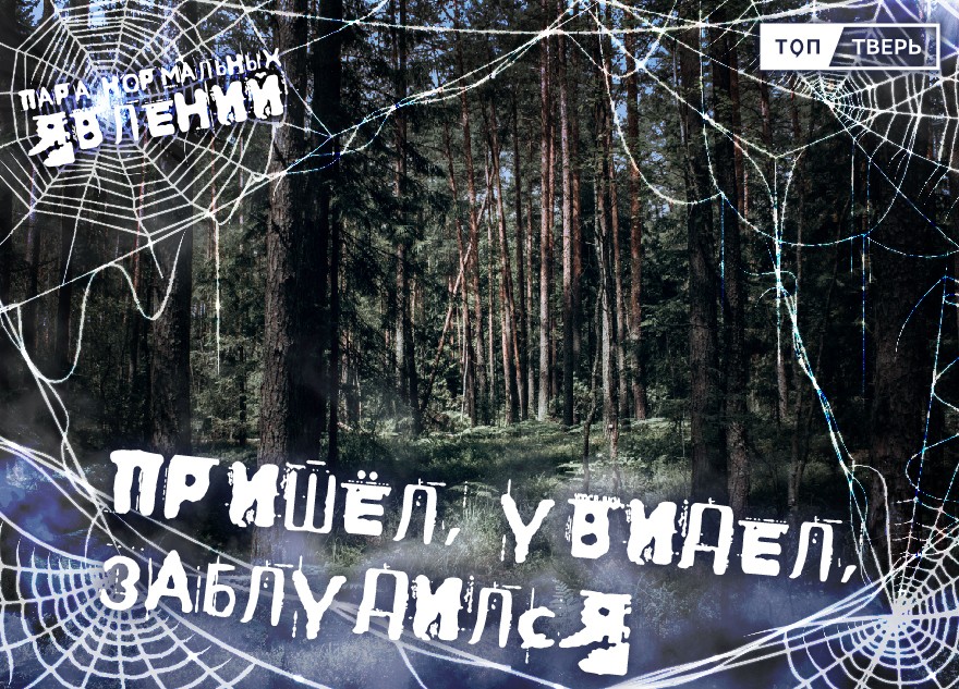 Пара нормальных явлений: Пришёл, увидел, заблудился