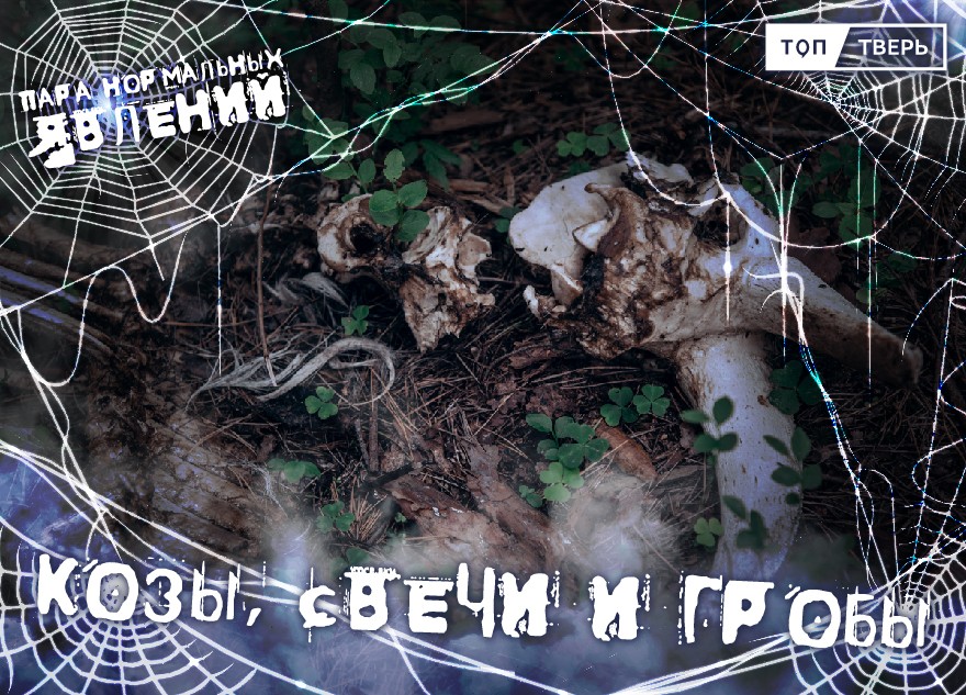 Пара нормальных явлений: Козы, свечи и гробы