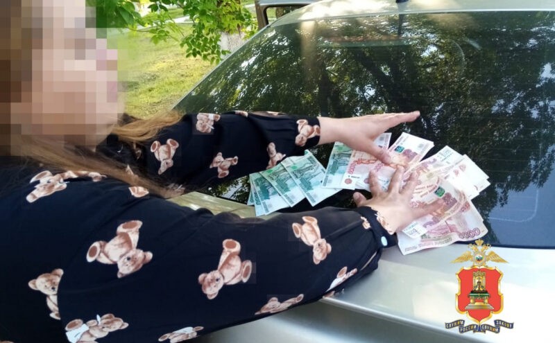 Стали известны подробности задержания похитительницы денег у пожилой жительницы Тверской области