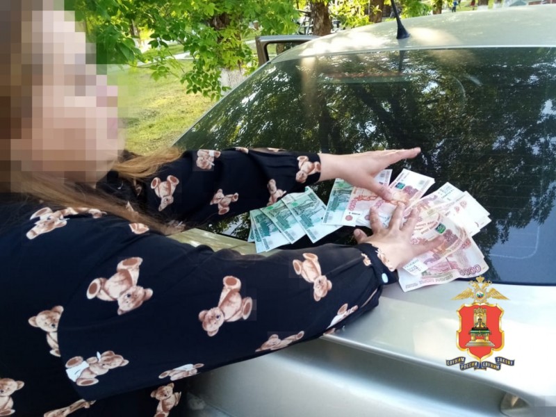 Стали известны подробности задержания похитительницы денег у пожилой жительницы Тверской области