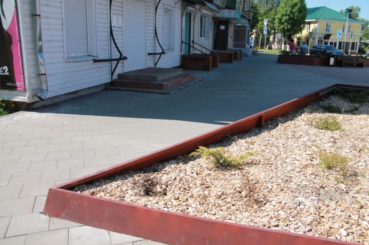 В Тверской области с городской площади украли тую