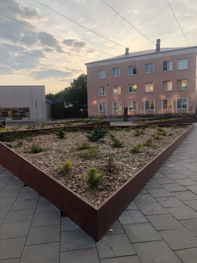 Женщина в маске вернула украденную в Тверской области тую