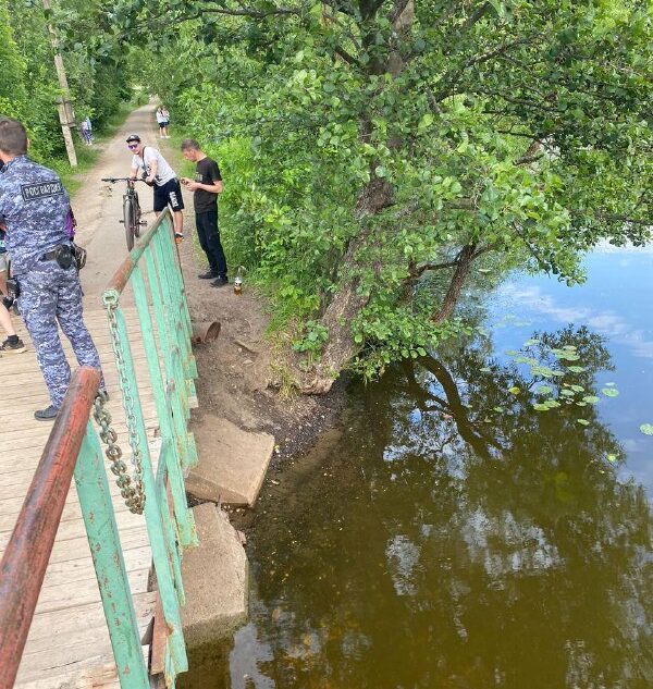 Появилось видео с места трагической гибели маленькой девочки в Тверской области Появилось видео с места трагической гибели маленькой девочки в Тверской области