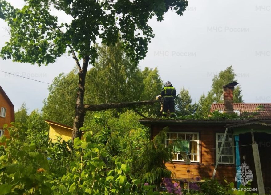 МЧС освобождает крыши домов и провода от упавших деревьев
