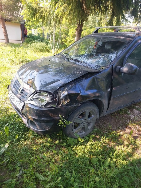 В Тверской области женщина-водитель пострадала после столкновения с деревом