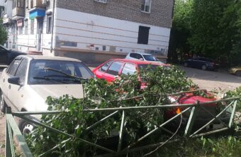 После сильного ветра в Твери на машины упала ветка После сильного ветра в Твери на машины упала ветка