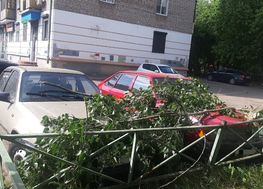 После сильного ветра в Твери на машины упала ветка