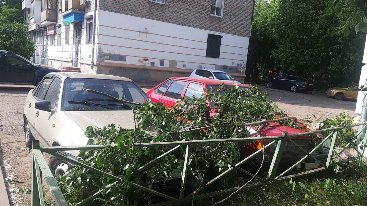 После сильного ветра в Твери на машины упала ветка