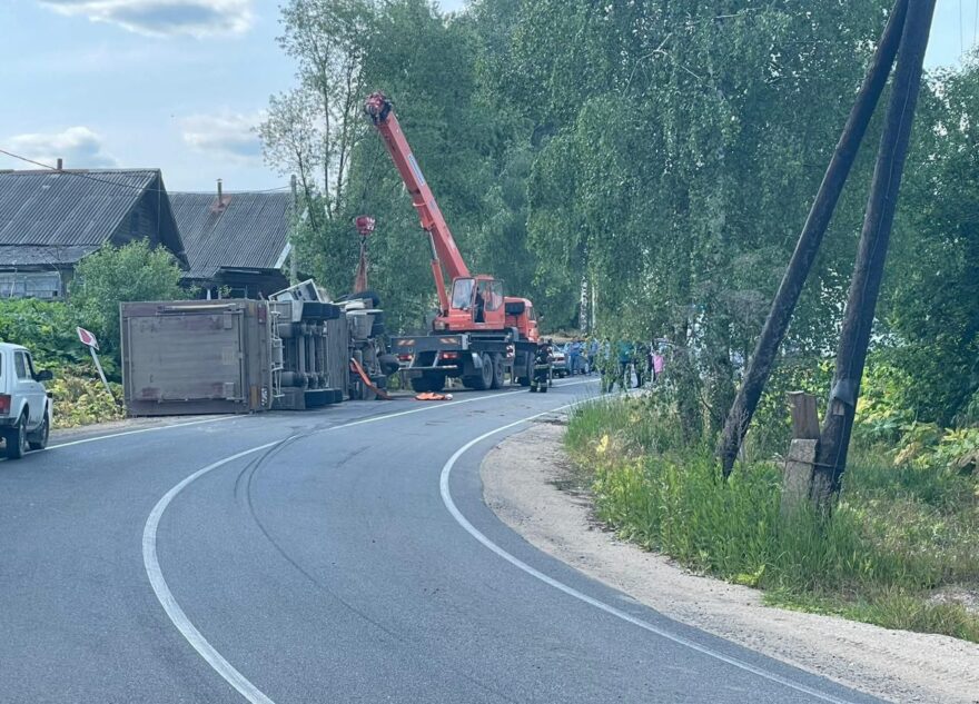 Грузовик с поросятами перевернулся в Тверской области