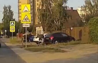 Сразу два диких зверя пробежали по улицам Твери Сразу два диких зверя пробежали по улицам Твери