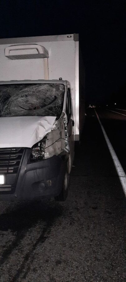 Водителя, наехавшего на лося в Тверской области, увезли в больницу