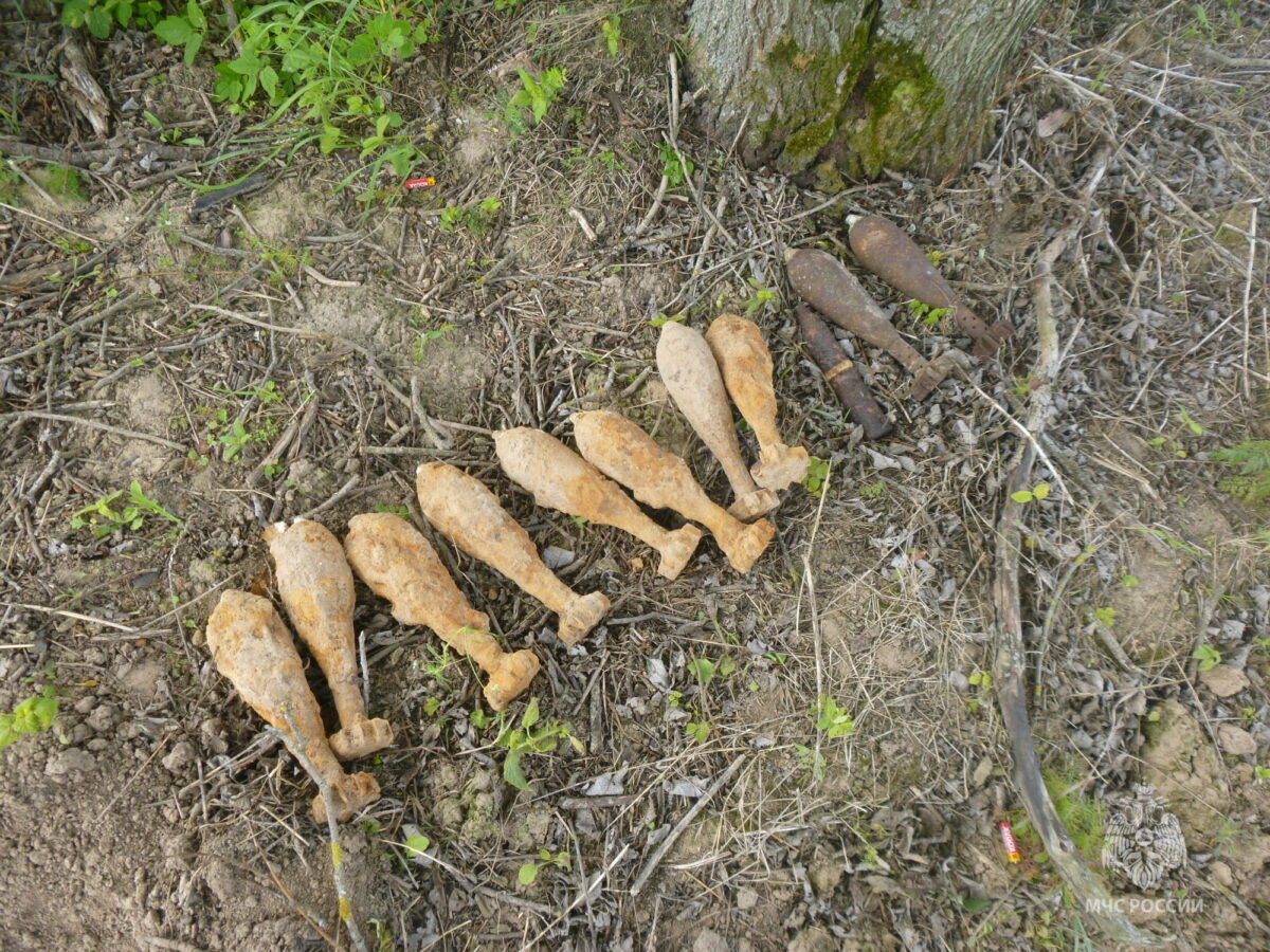 В Тверской области обнаружили 12 взрывоопасных предметов