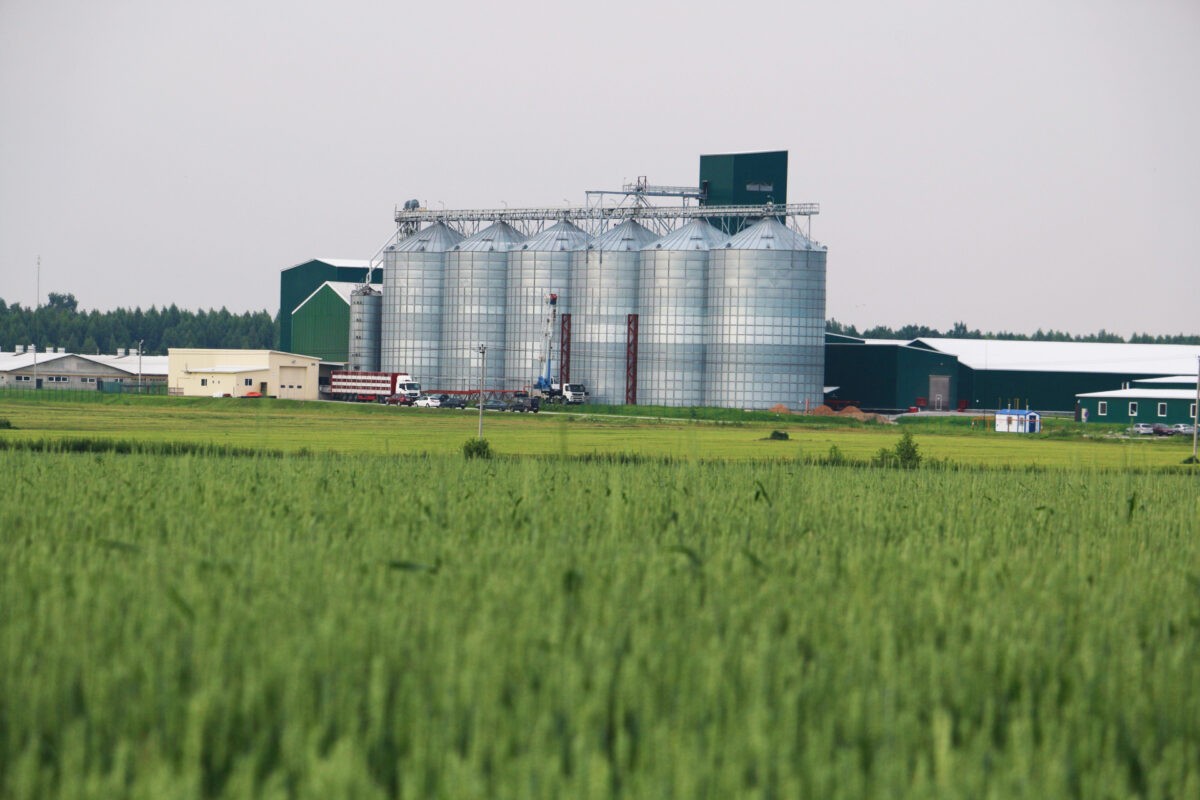 Сотрудники «Тверской МВЛ» провели карантинное фитосанитарное обеззараживание силосов для хранения зерна