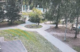 В Тверской области неадекватная женщина уничтожила городскую клумбу