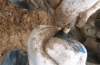 Поисковики нашли сына погибшего в Тверской области красноармейца