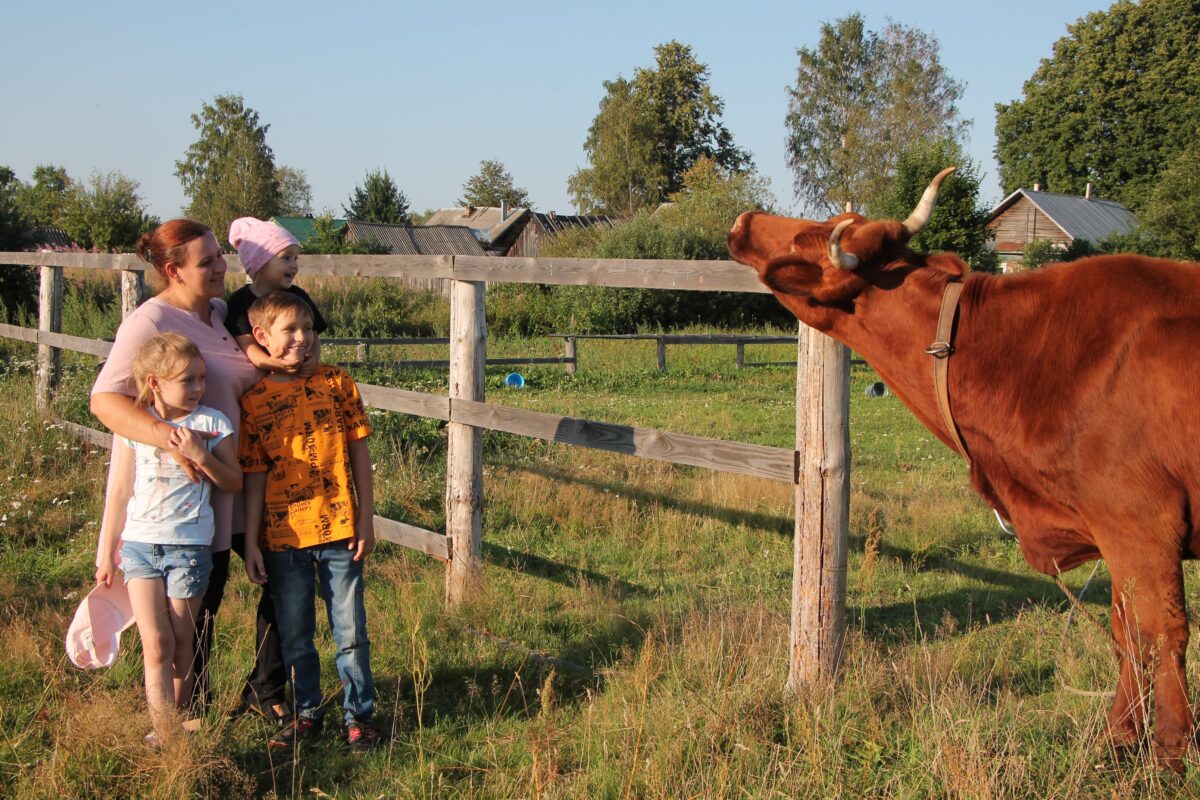 Лучшее семейное подворье выберут в Тверской области