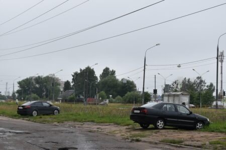 Новую партию водителей наказали за оставленные на газонах автомобили Новую партию водителей наказали за оставленные на газонах автомобили