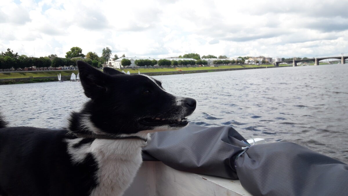 День на воде: как корреспондент «ТОП Тверь» помогал спасателям