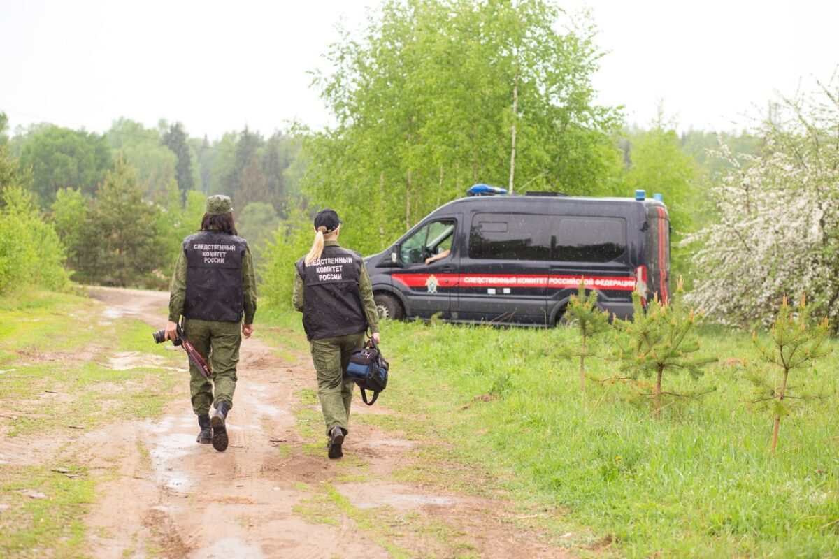 Тело пожилого мужчины нашли в сгоревшем доме под Тверью | ТОП Тверь новости