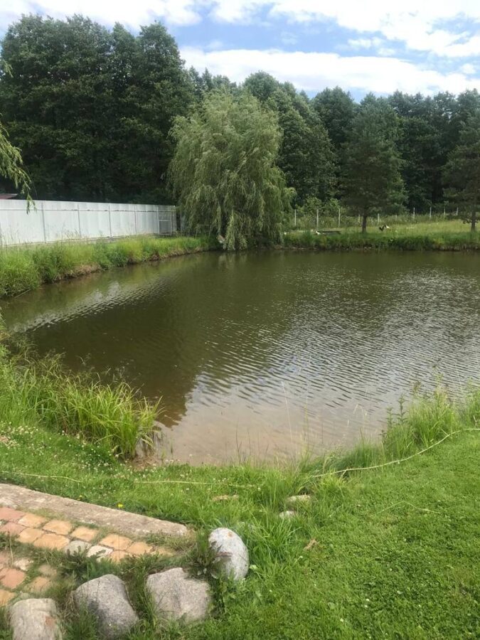 В пруду под Тверью утонула 2-летняя девочка