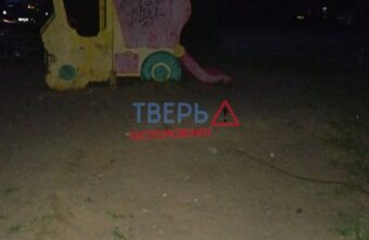 На сломанной детской площадке в Твери бегают крысёныши