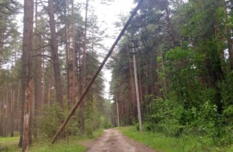 Из-за искрящихся проводов может сгореть роща в Твери Из-за искрящихся проводов может сгореть роща в Твери