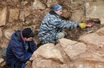 В Тверской области обнаружили останки мамонта и других древних животных