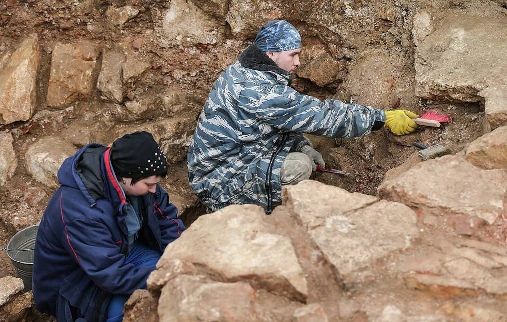 В Тверской области обнаружили останки мамонта и других древних животных