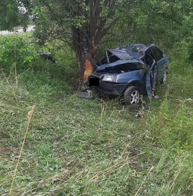 В Тверской области погиб пассажир врезавшейся в дерево машины В Тверской области погиб пассажир врезавшейся в дерево машины