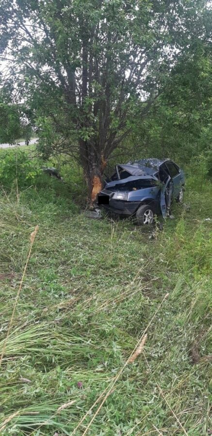 В Тверской области погиб пассажир врезавшейся в дерево машины